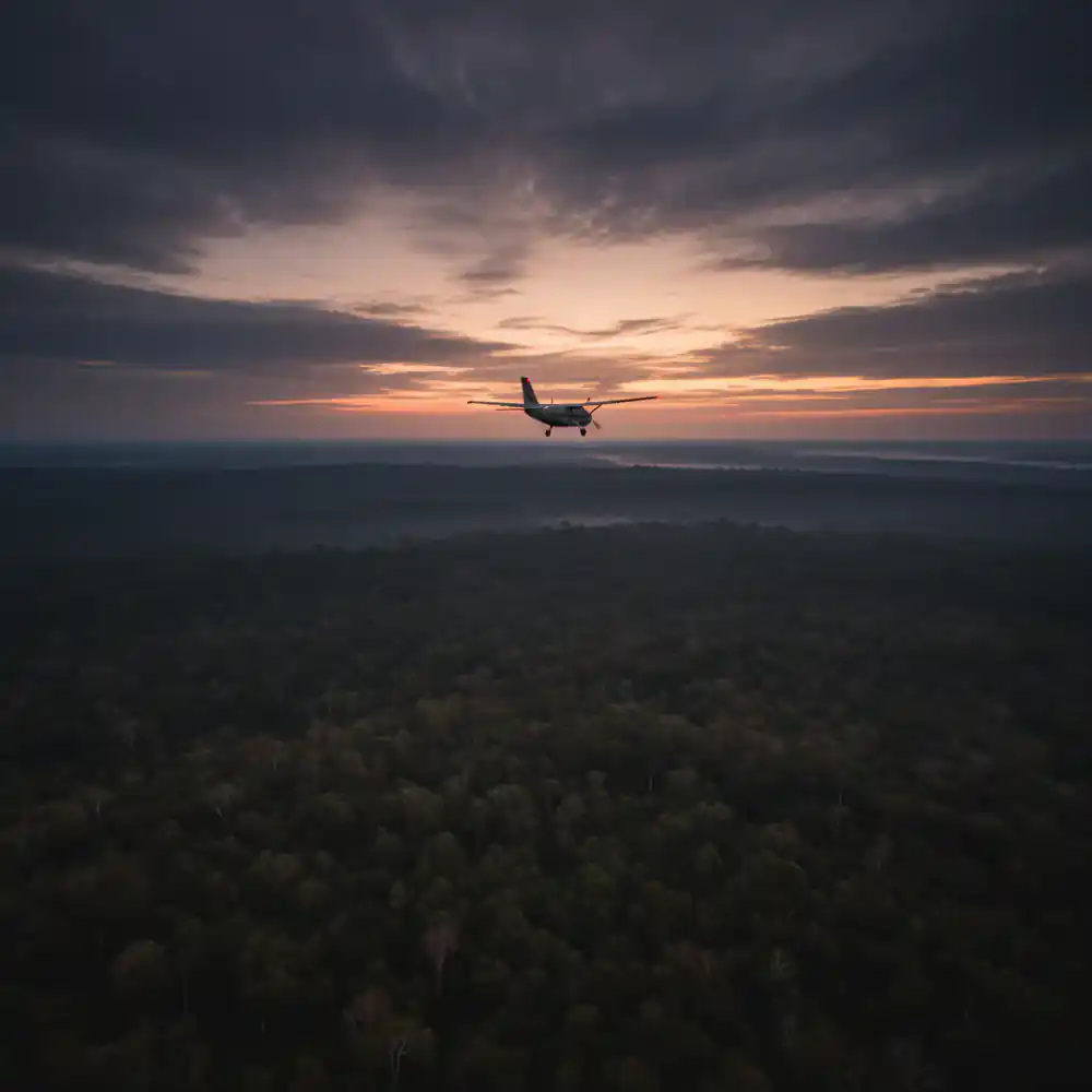 Low light dawn flight over a dense forest canopy